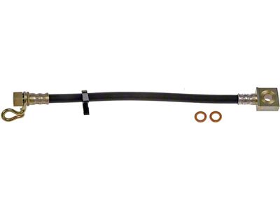 Rear Brake Hydraulic Hose; Driver Side (09-10 F-150, Excluding Raptor)