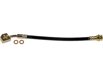 Rear Brake Hydraulic Hose; Passenger Side (99-03 F-150 Lightning)