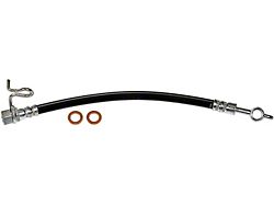 Rear Brake Hydraulic Hose; Passenger Side (12-14 F-150, Excluding Raptor)