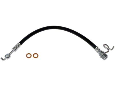Rear Brake Hydraulic Hose; Passenger Side (12-14 F-150 Raptor)