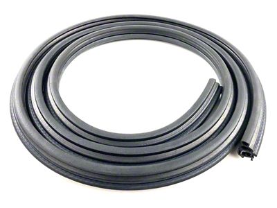 Rear Door Seal on Body; Passenger Side (04-08 F-150 SuperCrew)