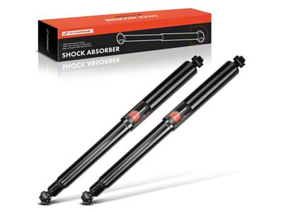 Rear Shock Absorbers (04-08 2WD F-150)