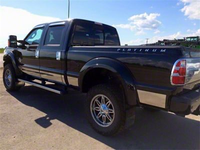 Rocker Panel Stainless Steel Molding (09-14 F-150 Regular Cab w/ 6-1/2-Foot Bed & w/o OE Fender Flares)