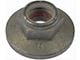 Spindle Nut With Plastic Insert; M24x2.0 (04-08 2WD F-150)
