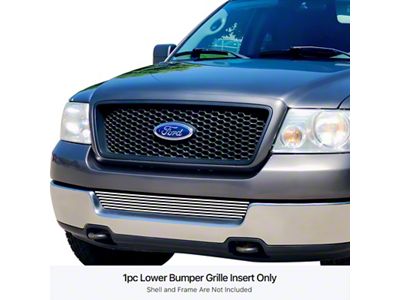 Stainless Steel Billet Lower Bumper Grille Overlay; Polished (04-05 F-150)