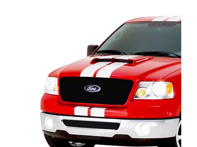 Stainless Steel Billet Lower Grille Insert; Black (06-08 F-150)