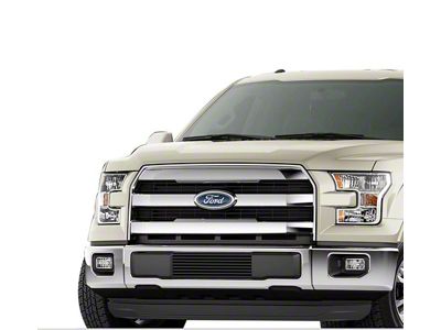 Stainless Steel Billet Lower Grille Insert; Black (15-17 F-150, Excluding Raptor)