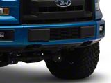 Stainless Steel Billet Lower Grille Insert; Black (15-17 F-150, Excluding Raptor)