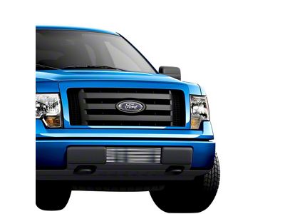 Stainless Steel Billet Lower Grille Insert; Chrome (09-14 F-150, Excluding Harley Davidson & Raptor)