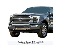 Stainless Steel Billet Lower Overlay Grille; Black (21-23 F-150, Excluding Raptor)