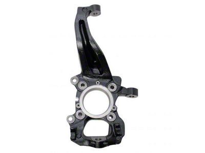 Steering Knuckle; Driver Side (04-08 F-150)