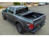 Tailgate Spoiler; Matte Black (15-20 F-150 w/o Tailgate Step)