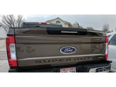 Tailgate Emblem Overlay Decal; Matte Black (17-20 F-150 Raptor)