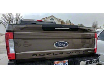 Tailgate Emblem Overlay Decal; Shadow Black (17-20 F-150 Raptor)