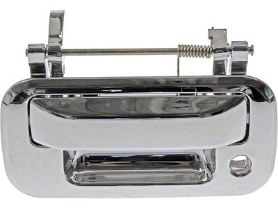 Tailgate Handle; All Chrome (04-14 F-150)