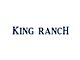 Tailgate Insert Letters; Blue Jeans Metallic (18-20 F-150 King Ranch)