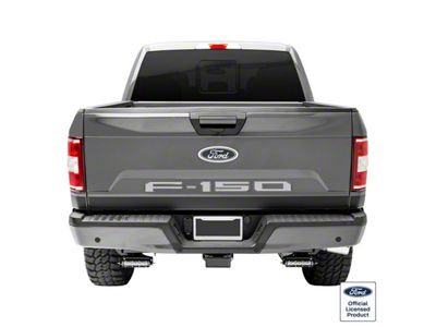 Tailgate Insert Letters; Silver Metallic (18-20 F-150 w/o Tailgate Applique)