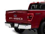 Tailgate Insert Letters; Stainless Steel (21-25 F-150)