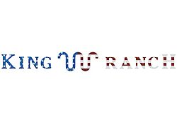 Tailgate Letter Inserts; American Flag (21-25 F-150 King Ranch)