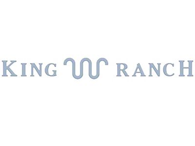 Tailgate Letter Inserts; Azure Gray (21-25 F-150 King Ranch)
