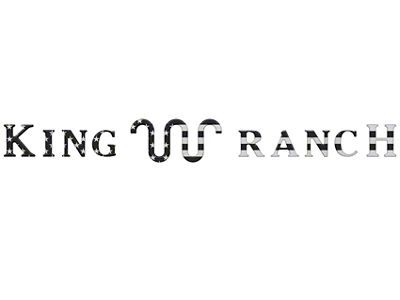 Tailgate Letter Inserts; Black and Silver American Flag (21-25 F-150 King Ranch)