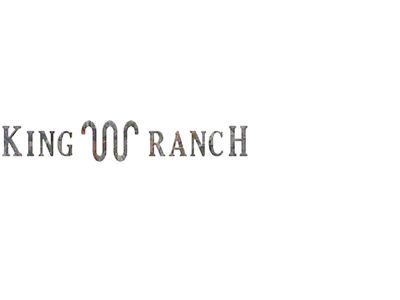Tailgate Letter Inserts; Camouflage (21-25 F-150 King Ranch)