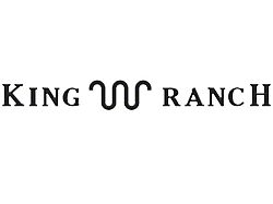 Tailgate Letter Inserts; Gloss Black (21-26 F-150 King Ranch)