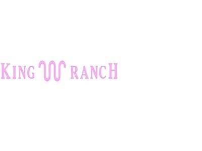 Tailgate Letter Inserts; Lavender Purple (21-25 F-150 King Ranch)