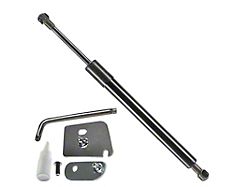 Tailgate Lift Support Strut (15-23 F-150)