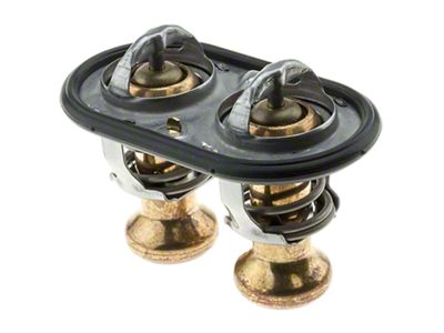 Thermostat with Seal; 200-Degree (23-25 F-150 Raptor R)