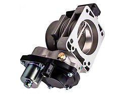 Throttle Body (05-06 4.6L F-150)