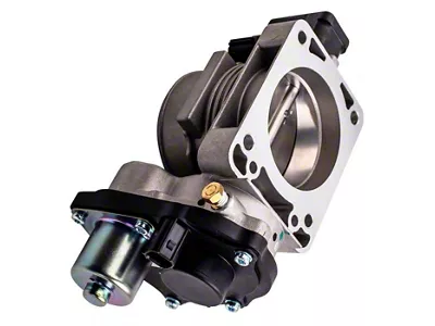 Throttle Body (05-06 4.6L F-150)
