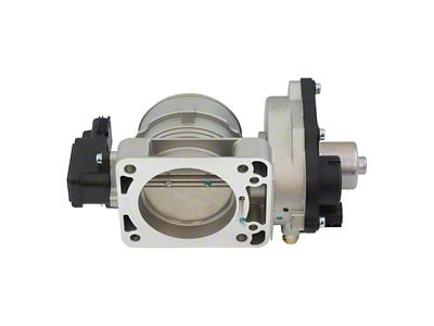 Throttle Body Assembly (04-06 4.6L F-150)