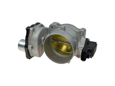 Throttle Body Assembly (04-10 5.4L F-150)