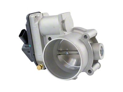 Throttle Body Assembly (07-10 4.6L F-150)