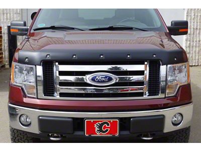 ToughGuard Hood Deflector; Smooth (09-14 F-150, Excluding Raptor)