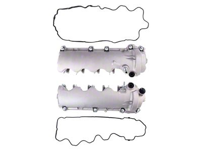 Valve Cover (04-10 5.4L F-150; 09-10 4.6L F-150)