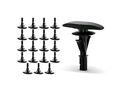 Weatherstrip Retainer Clip Set; 20-Piece (00-23 F-150)