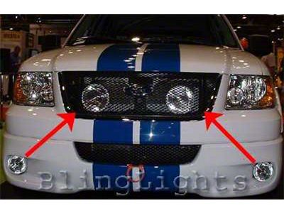 Xenon Halogen Grille Fog Lights (99-03 F-150 Harley Davidson, Lightning)