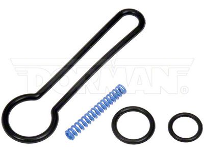 Fuel Pressure Regulator Upgrade Kit (03-07 6.0L Powerstroke F-250 Super Duty)