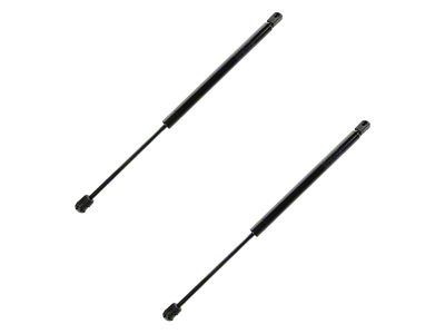 Hood Lift Support Struts (99-07 F-250 Super Duty)