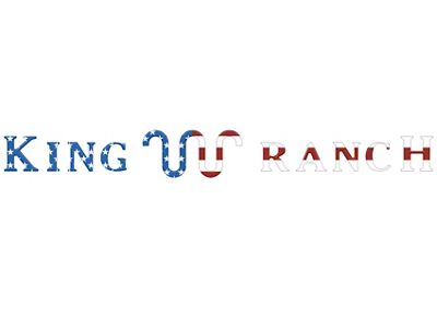 Tailgate Insert Letters; American Flag (23-25 F-250 Super Duty King Ranch)
