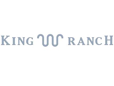 Tailgate Insert Letters; Azure Gray (23-25 F-250 Super Duty King Ranch)