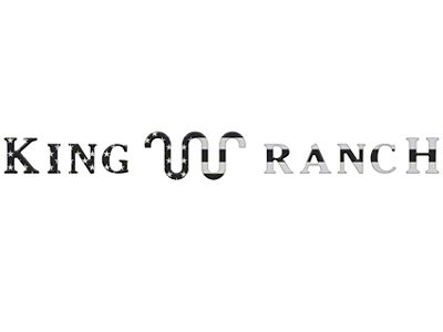 Tailgate Insert Letters; Black/Silver American Flag (23-25 F-250 Super Duty King Ranch)