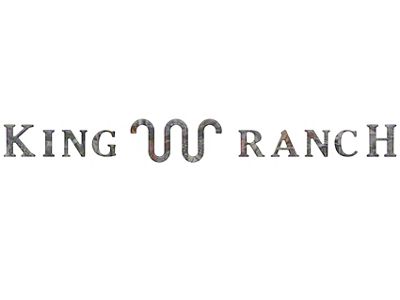 Tailgate Insert Letters; Camouflage (23-25 F-250 Super Duty King Ranch)