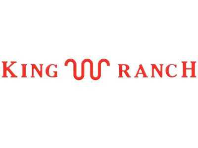 Tailgate Insert Letters; Gloss Red (23-25 F-250 Super Duty King Ranch)