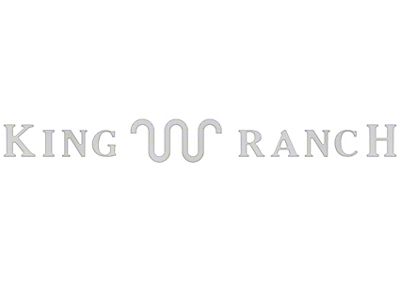 Tailgate Insert Letters; Iconic Silver (23-25 F-250 Super Duty King Ranch)