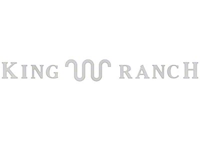 Tailgate Insert Letters; Iconic Silver (23-24 F-250 Super Duty King Ranch)