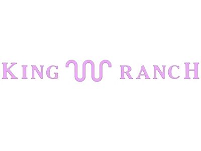 Tailgate Insert Letters; Lavender Purple (23-25 F-250 Super Duty King Ranch)