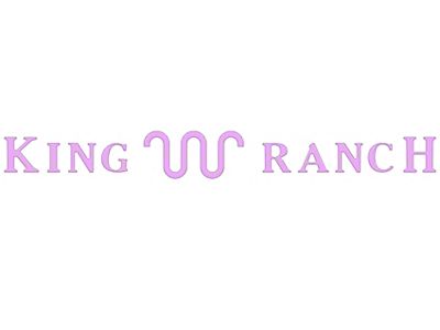 Tailgate Insert Letters; Lavender Purple (23-24 F-250 Super Duty King Ranch)